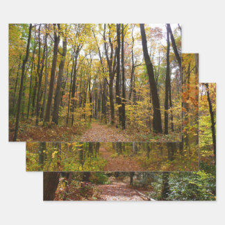 Chemin d'automne et Feuilles d'or au parc Laurel H