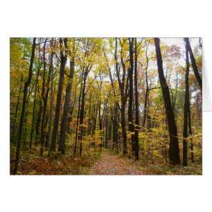 Chemin d'automne et Feuilles d'or au parc Laurel H