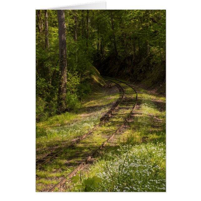 Chemin de fer abandonné dans une forêt (Devant)