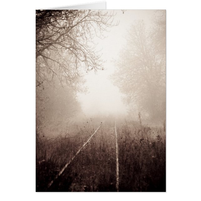 Chemin de fer oublié (Devant)