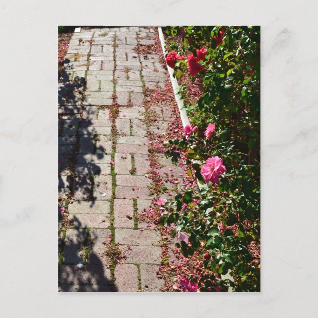 Chemin de la carte postale Rose (Devant)