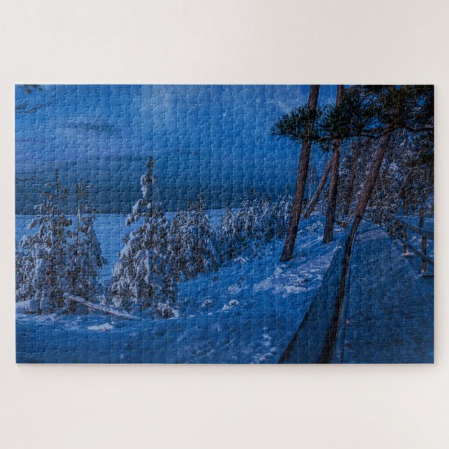 Chemin de la forêt la nuit d'hiver puzzle (Horizontal)
