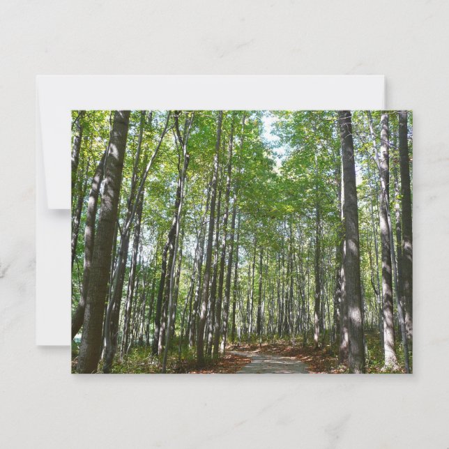 Chemin en bois centenaire II Ellicott City Marylan (Devant)