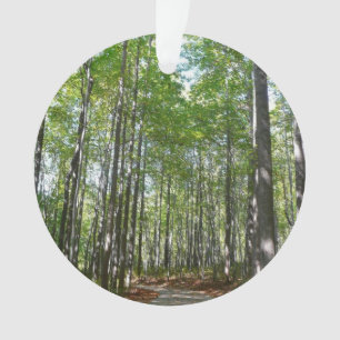 Chemin en bois centenaire II Ellicott City Marylan