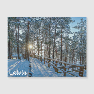 Chemin en bois sur la forêt d'hiver enneigée