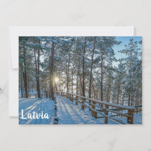 Chemin en bois sur la forêt d'hiver enneigée