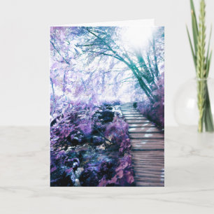 chemin enchanté de la carte mémoire