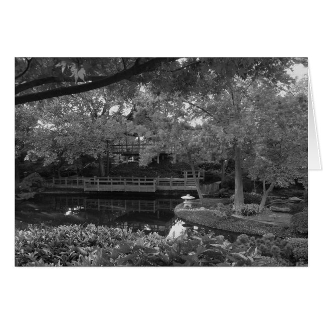 Chemin paisible (Devant horizontal)