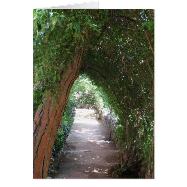Chemin secret dans le jardin de Gaudi - Carte phot (Devant)