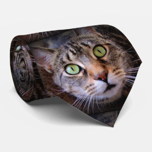 Chemise à cravate pour homme chat tigré aux yeux v