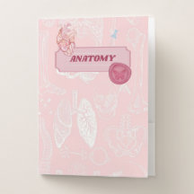 Conception esthétique d'anatomie rose pour étudian