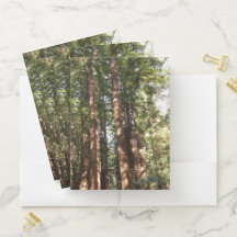 Jusqu'à Redwoods II au monument national de Muir W