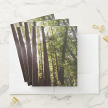 Jusqu'aux séquoias du matin