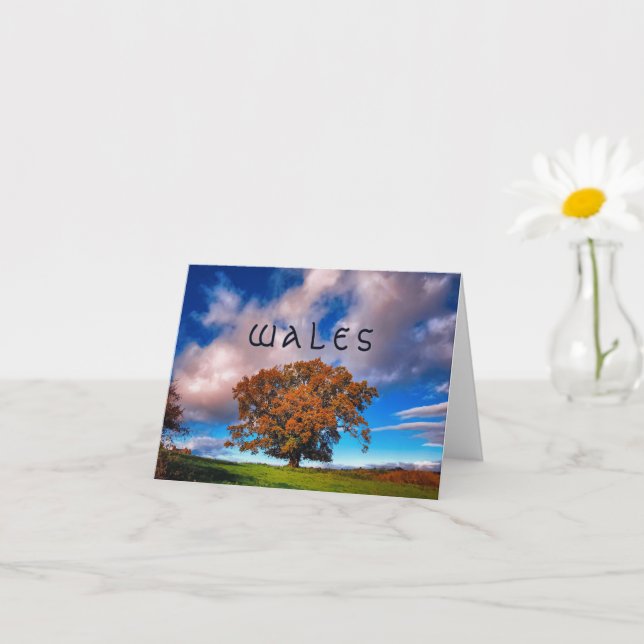 Chêne d'automne au Pays de Galles - carte blanche (Petite plante)