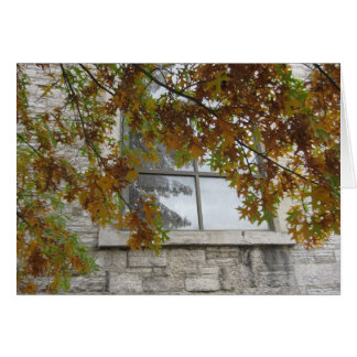 Chêne d'automne St. Paul