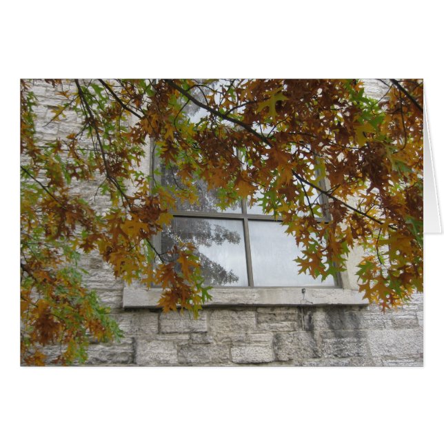 Chêne d'automne St. Paul (Devant horizontal)