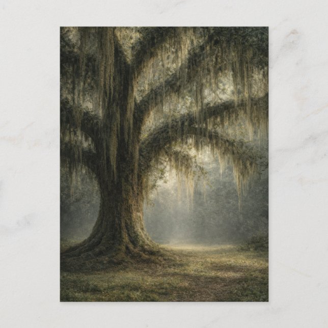 Chêne Murmurant | Carte Postale Nature | Paysage B (Devant)