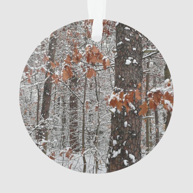 Chênes couverts de neige hiver Photographie de la  (dos)