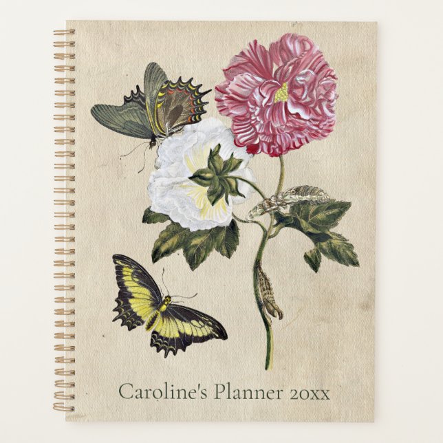 chenille papillon rose vintage (Devant)
