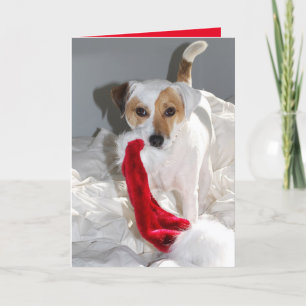 Cher Mme Claus Carte de vacances JRT