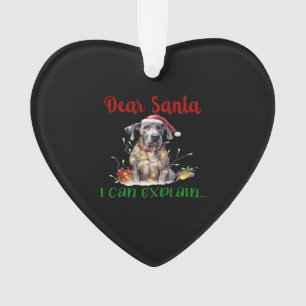 Cher Père Noël, je peux expliquer T-Shirt essentie