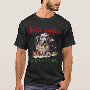 Cher Père Noël, je peux expliquer T-Shirt essentie