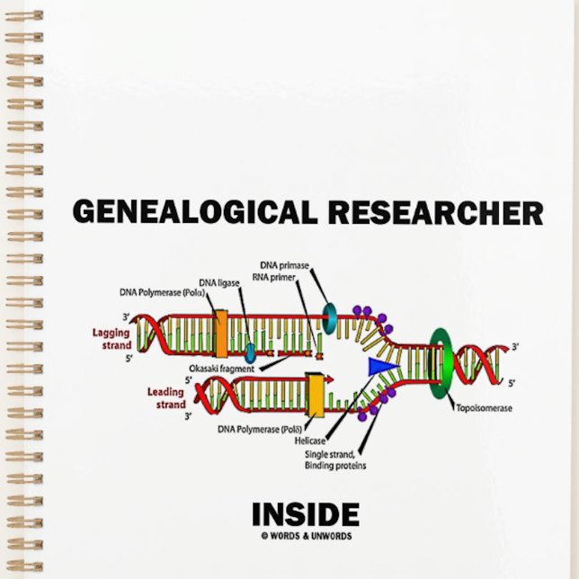 Chercheur généalogique dans la réplication de l'AD (DNA attitude planner for any genealogist or anyone engaged in genealogical research)