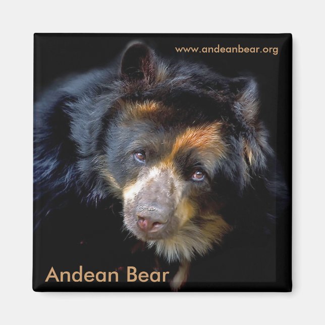 Cheri McEachin Magnet (Devant)