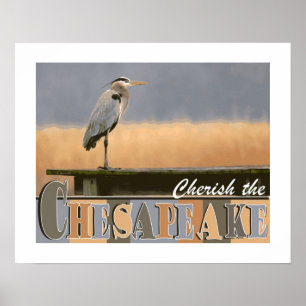 Cherish the Chesapeake Poster