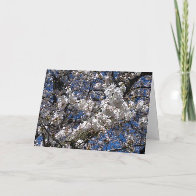 Cherry Blossom Blank carte pour notes (Devant)