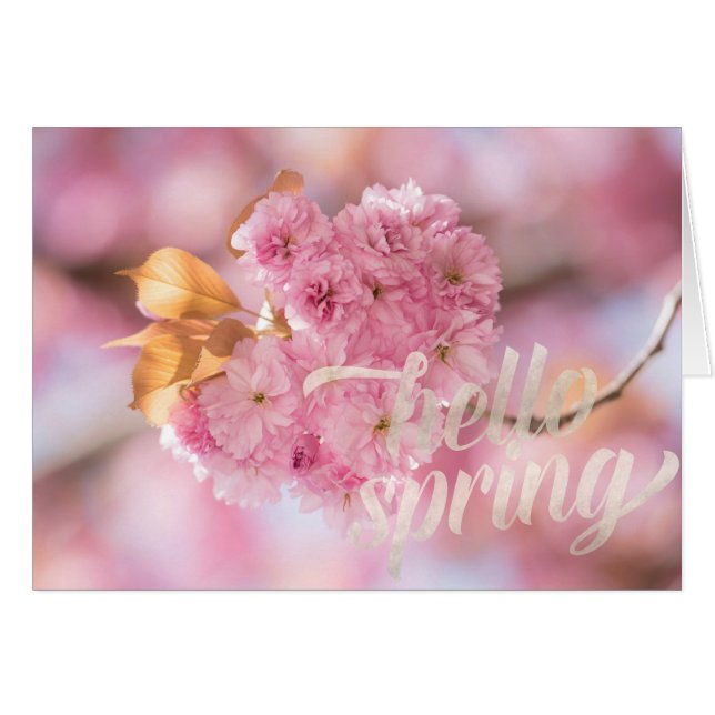 Cherry Blossom Branch Spring Text (Devant horizontal)