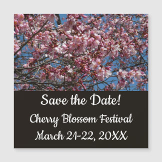 Cherry Blossoms et Blue Sky Spring Floral