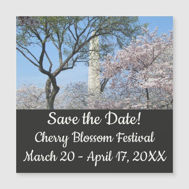 Cherry Blossoms et le monument de Washington à DC (Devant)