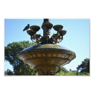 Cherry Hill Fountain Central Park Photographie NYC