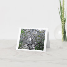 Cherry Tree Floral Flower Carte de voeux Anniversa
