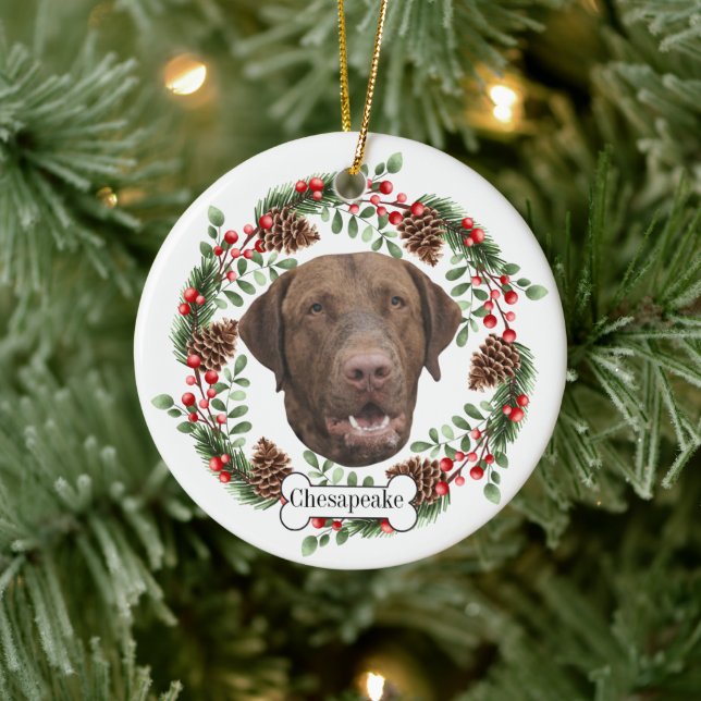 Chesapeake Bay Retriever Ornement personnalisé pou (Arbre)
