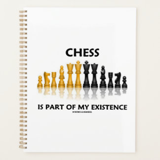 Chess Of My Set Reflechissant Chess