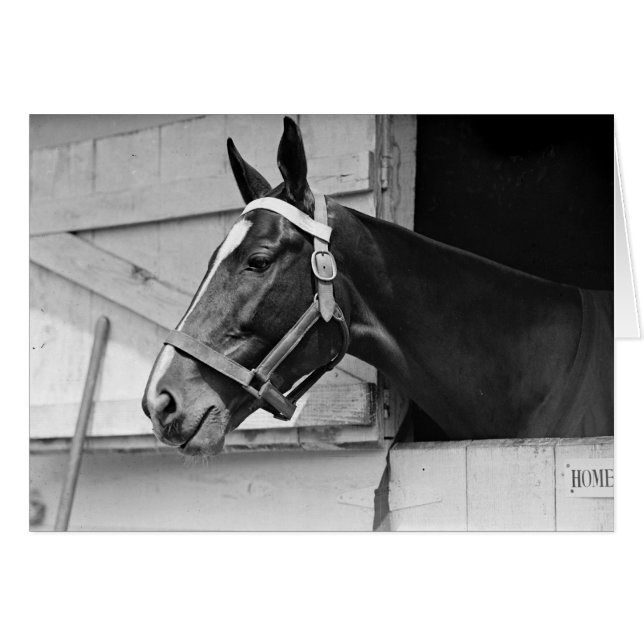 Cheval (Devant horizontal)