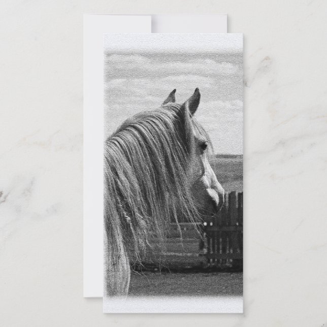 cheval (Devant)