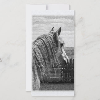 cheval