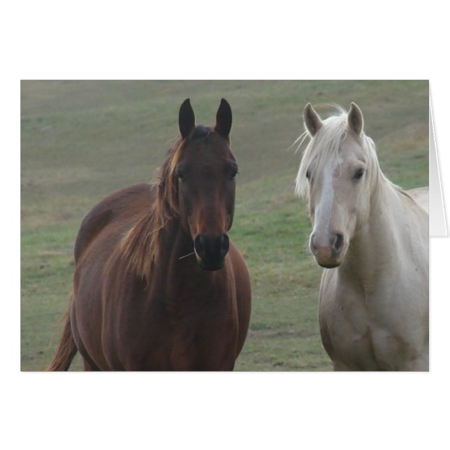 Cheval (Devant horizontal)