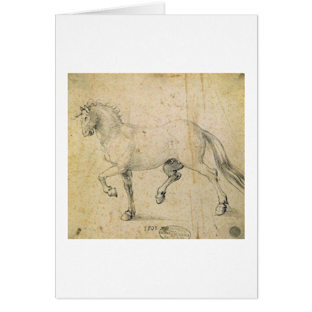 Cheval, 1503 (à l'encre sur le papier) (Devant)