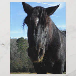 Cheval à bascule noir secouru
