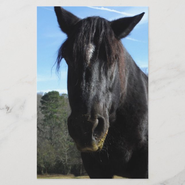 Cheval à bascule noir secouru (Devant)
