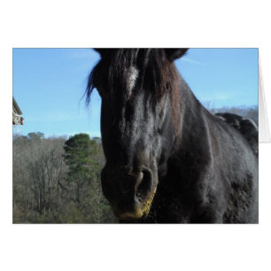 Cheval à bascule noir secouru
