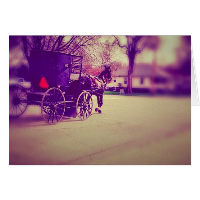 Cheval Amish et Buggy (Devant horizontal)