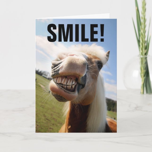 CHEVAL AMOUREUX FUNNY CARTES DE SALUT D'ANNIVERSAI (Devant)