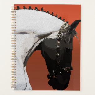 Cheval Andalou Élégant – Art Équestre Majestueux