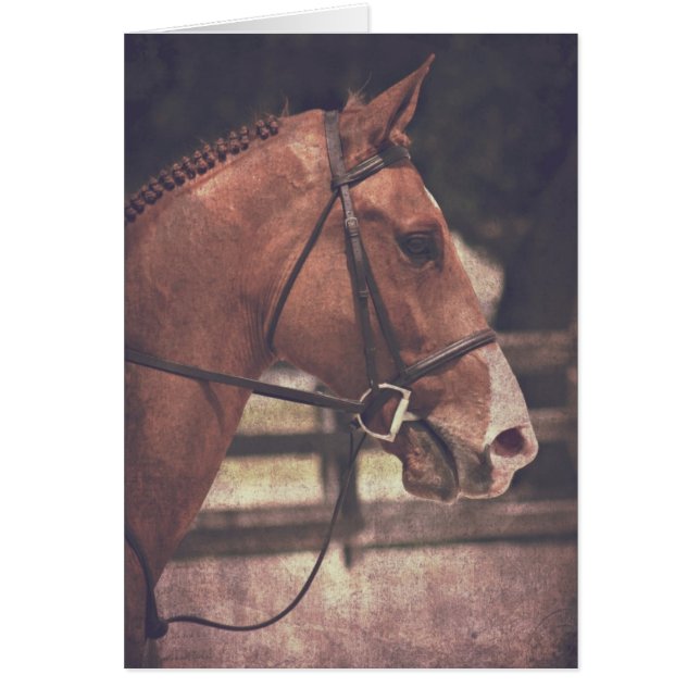 Cheval anglais (Devant)