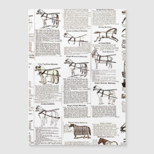 Cheval Antique Publicité Journal Art